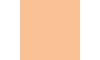 Fawn