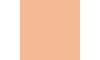 Cool Beige